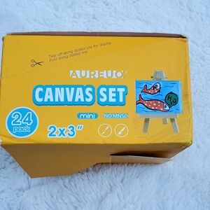 Aureuo Mini Canvas Set 24 Pack - Brand New